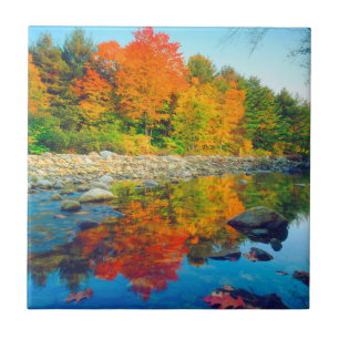 Autumn Colors reflecting in a stream in Vermont Tile