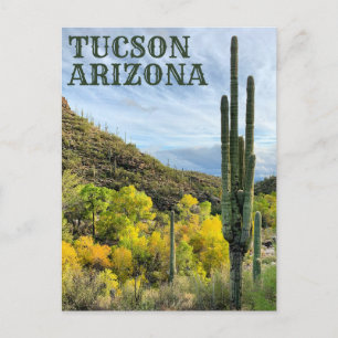 Autumn Colors Saguaro Sabino Canyon Postcard