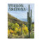 Autumn Colors Saguaro Sabino Canyon