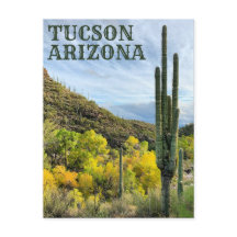 Autumn Colors Saguaro Sabino Canyon