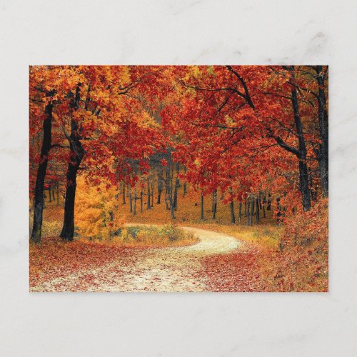 Autumn Colors Scene Postcard