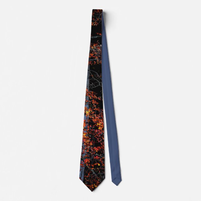Autumn colors tie (Front)