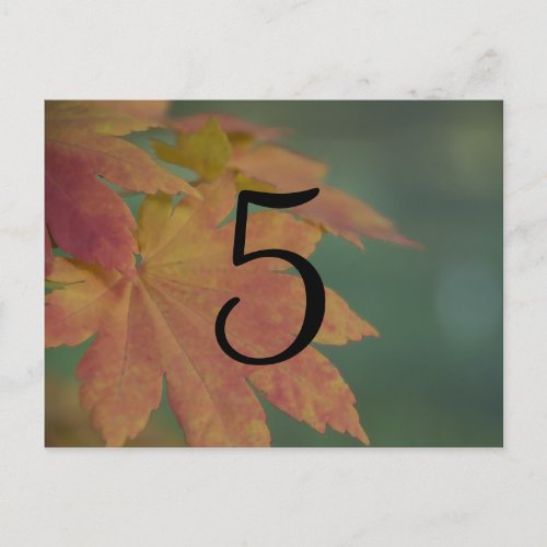 Autumn Colors Wedding Table Number