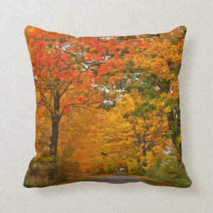 Autumn colourful trees throw pillow