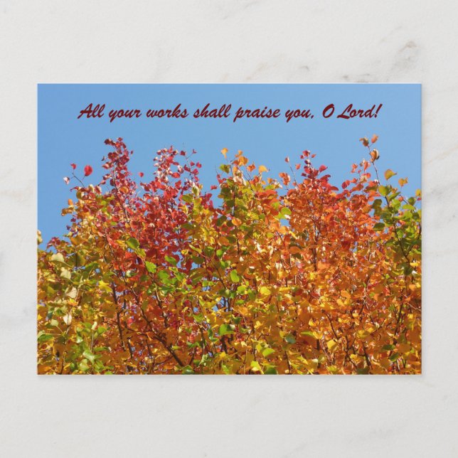 Autumn colours 4 postcard (Front)