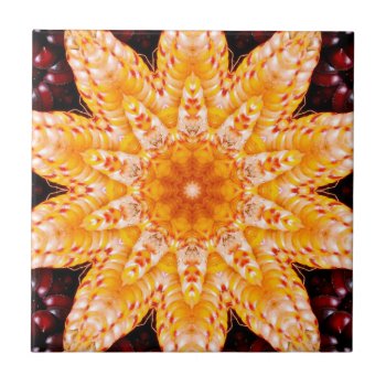 Autumn Corn Flower Ceramic Tile by artinphotography at Zazzle
