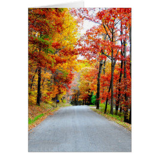 Autumn country road cards