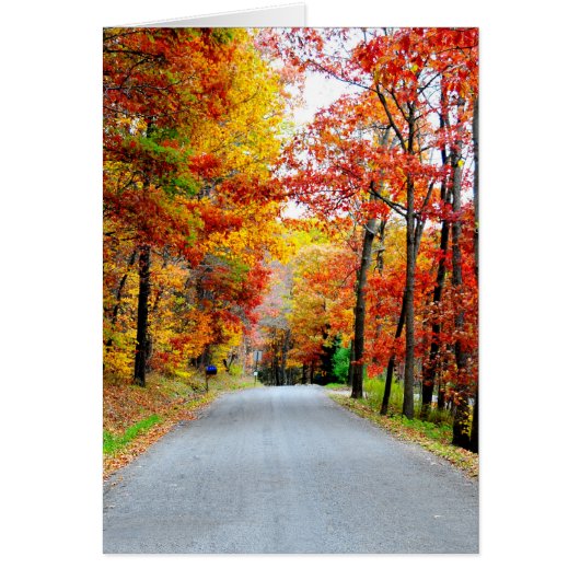 Autumn country road cards (Front)