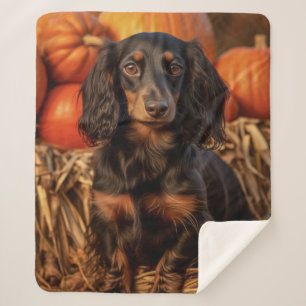 Autumn Dachshund – Cozy & Devoted Sherpa Blanket