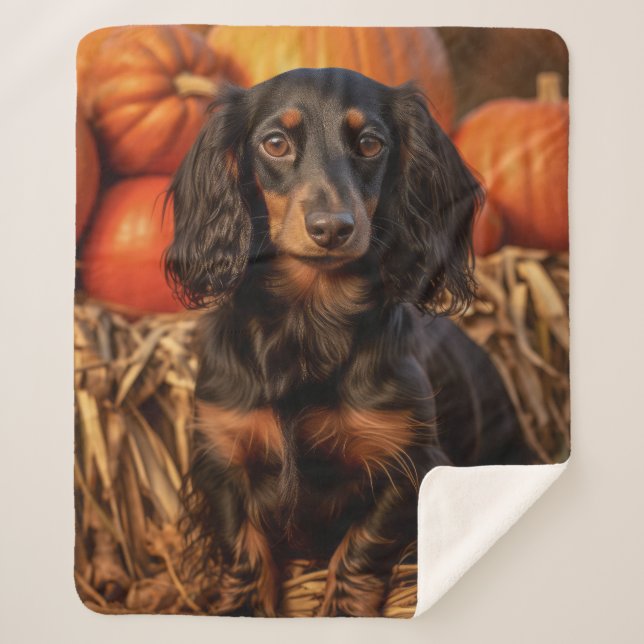 Autumn Dachshund – Cozy & Devoted Sherpa Blanket (Front)