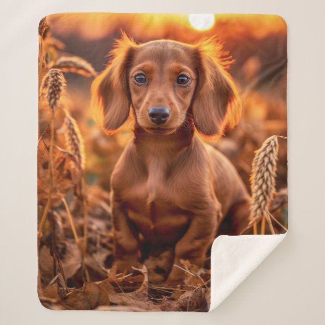 Autumn Dachshund – Cozy & Devoted Sherpa Blanket (Front)