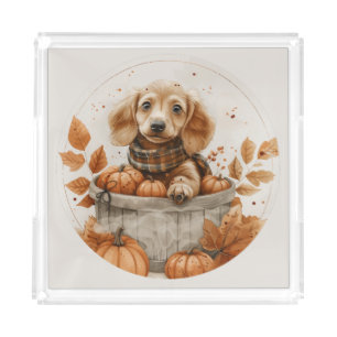 Autumn Dachshund Dogs Pumpkin Acrylic Tray