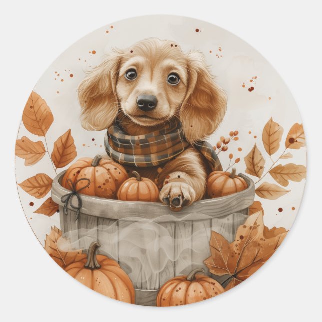 Autumn Dachshund Dogs Pumpkin Classic Round Sticker (Front)