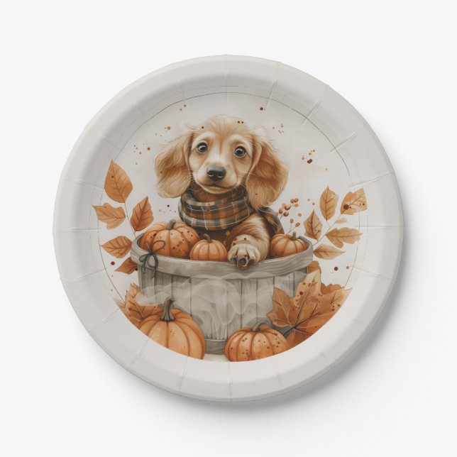 Autumn Dachshund Dogs Pumpkin Paper Plates (Front)