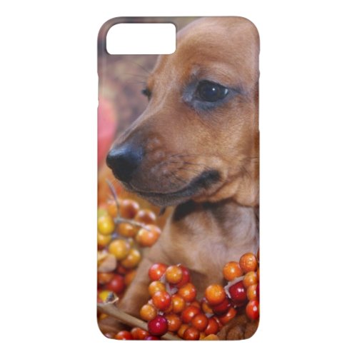 Autumn Dachshund Puppy iPhone 8 Plus7 Plus Case