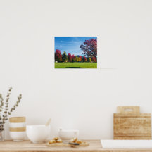 Autumn Day in the Park Poster