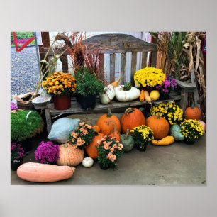 Autumn Decor 