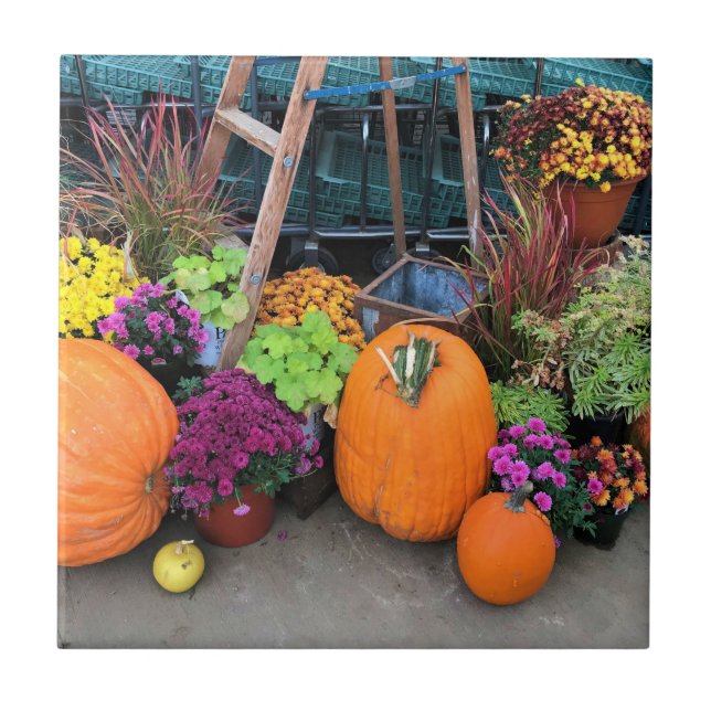 Autumn Decor Ceramic Tile (Front)