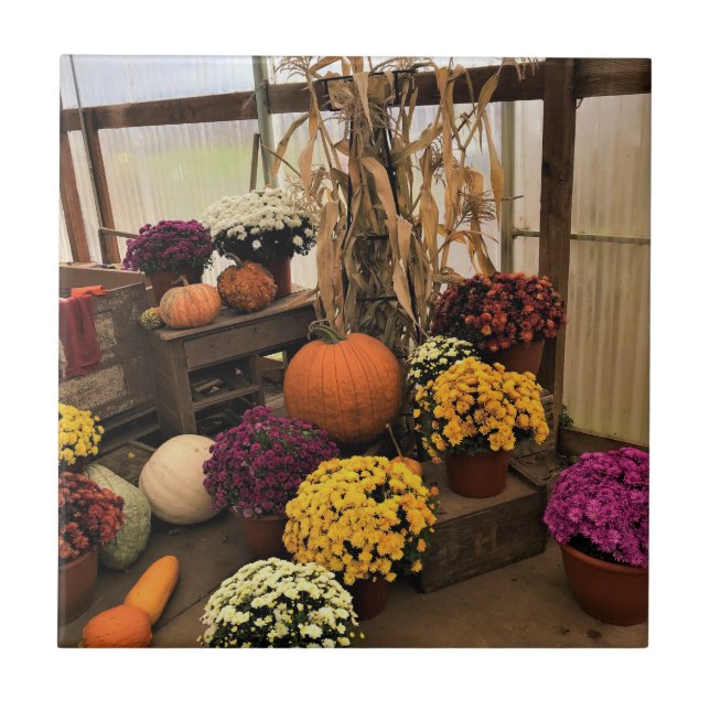 Autumn Decor Ceramic Tile (Front)