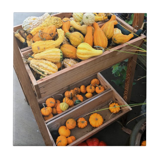 Autumn Decor Ceramic Tile (Front)