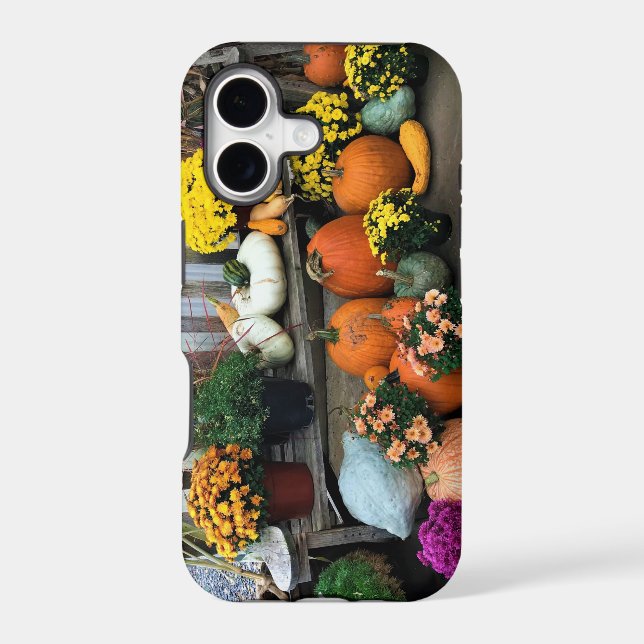 Autumn Decor Iphone Case (Back)