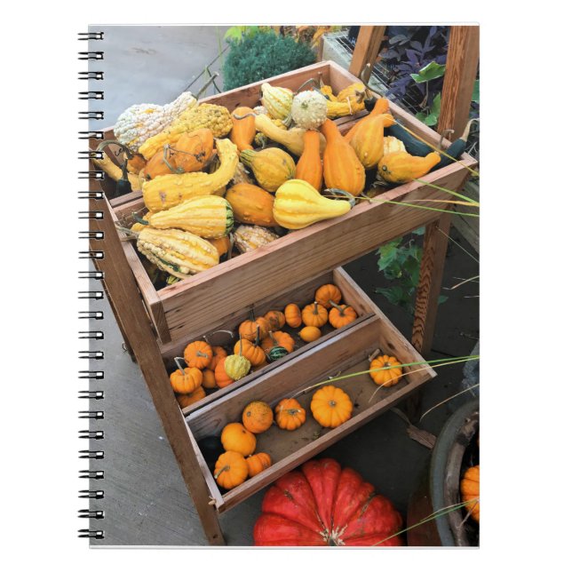 Autumn Decor Notebook (Front)