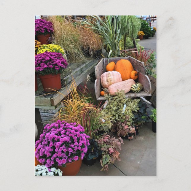 Autumn Decor Postcard (Front)