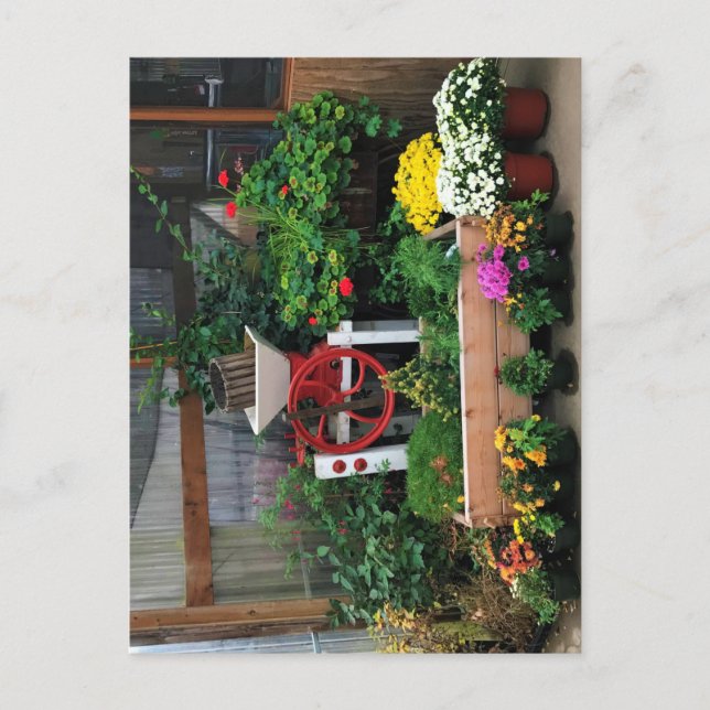 Autumn Decor Postcard (Front)