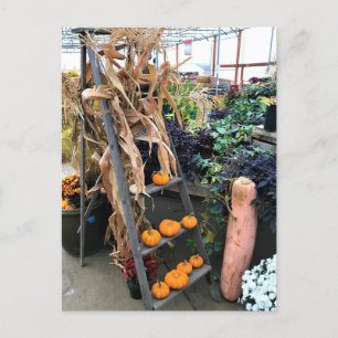 Autumn Decor Postcard