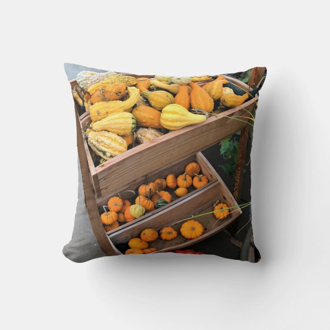 Autumn Decor Throw Pillow (Front)