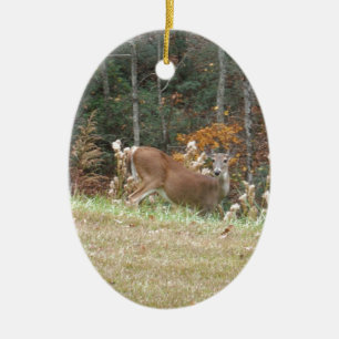 Autumn Deer in Lake Arrowhead GA Ceramic Ornament