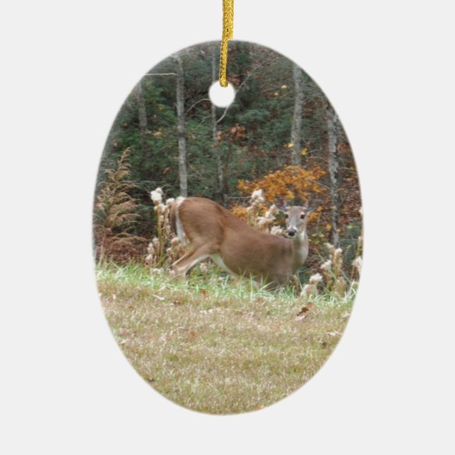 Autumn Deer in Lake Arrowhead GA Ceramic Ornament (Front)