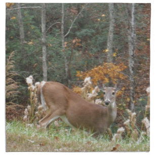 Autumn Deer in Lake Arrowhead GA Cloth Napkin