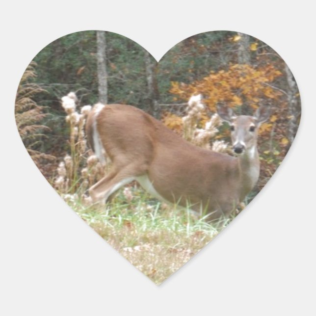 Autumn Deer in Lake Arrowhead GA Heart Sticker (Front)