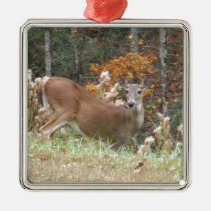 Autumn Deer in Lake Arrowhead GA Metal Ornament