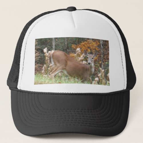 Autumn Deer in Lake Arrowhead GA Trucker Hat