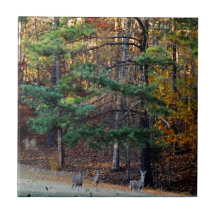 Autumn Deer in the distance Ceramic Tile