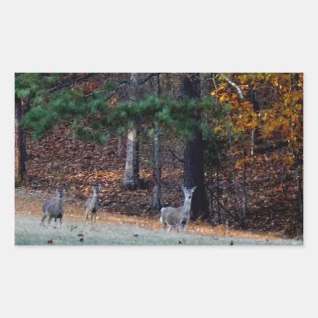 Autumn Deer in the distance Rectangular Sticker (Front)