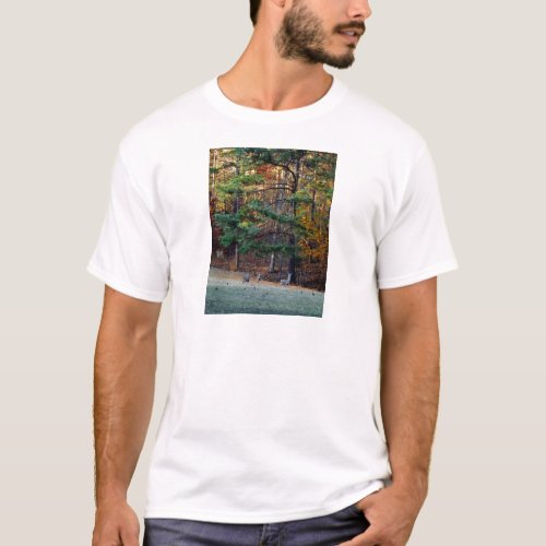 Autumn Deer in the distance T_Shirt