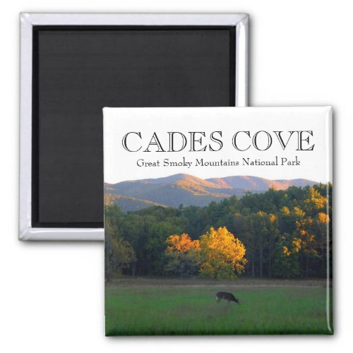 Autumn deer wildlife cades cove great smoky mtns magnet