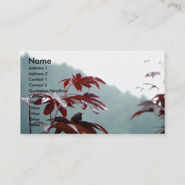 Autumn Dialog/ Profile card (Front)