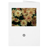 Autumn Display, Blessings Cards (Back)