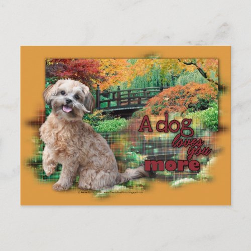 Autumn _ Dog Loves You More _ Shihpoo _ Maggie Postcard