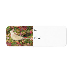Autumn Dove Label