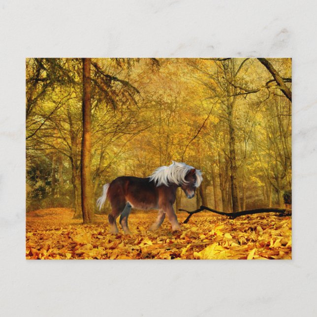 Autumn draft horse postcard (Front)