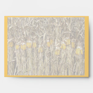 Autumn Dried Corn Stalk Decorations Envelope