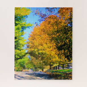 Autumn Drive in the Country Jigsaw Puzzle