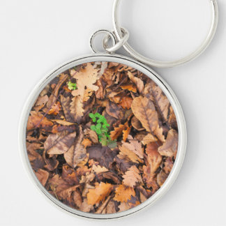 Autumn Dry Leaves and Green Clovers Keychain