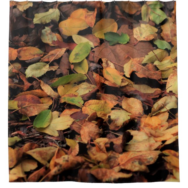 autumn, dry leaves shower curtain (Front)