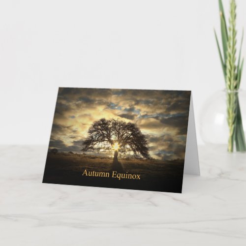 Autumn Equinox Mabon Oak Tree Sun Star Card